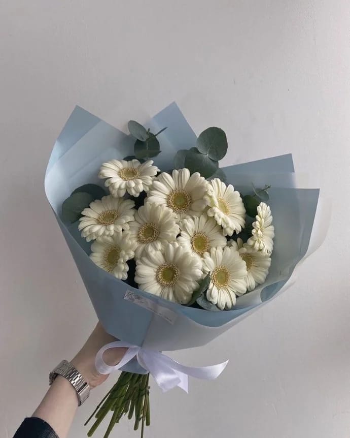 Pastel Rüya Beyaz Gerbera Buketi