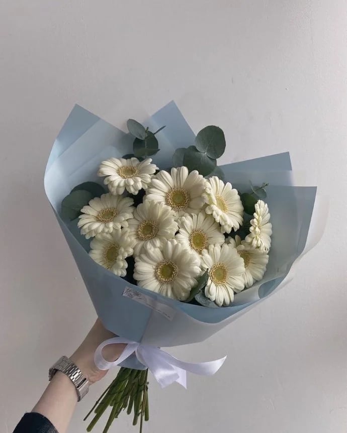 Pastel Rüya Beyaz Gerbera Buketi
